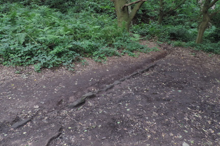 Ditch