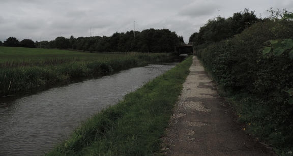 Canal