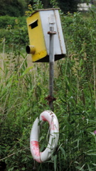 Speed camera?