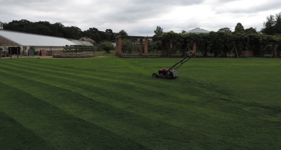 Lawn