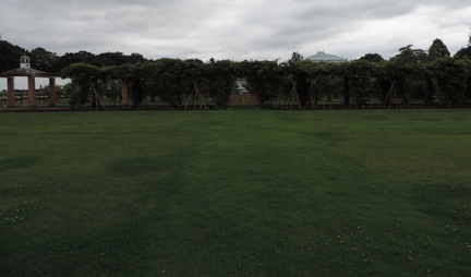 Orchard