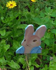 Peter Rabbit