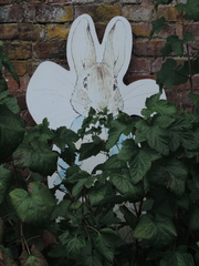 Peter Rabbit