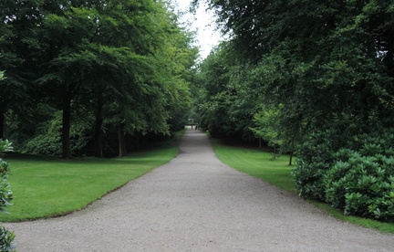 Avenue