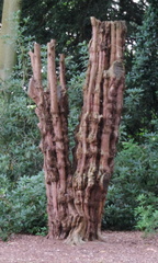 Tree sculpture