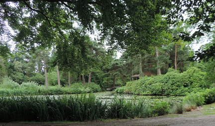Pond