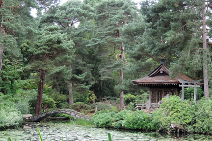 Japanese garden