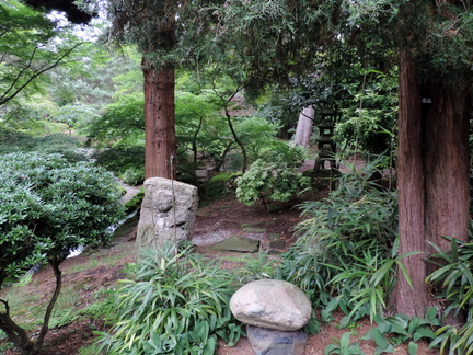 Japanese garden