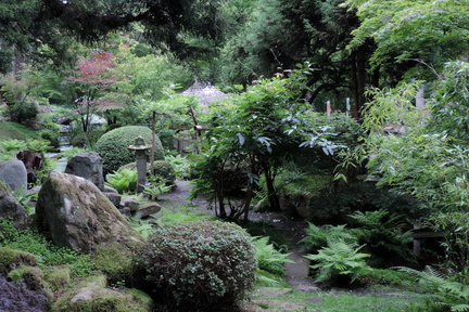 Japanese garden