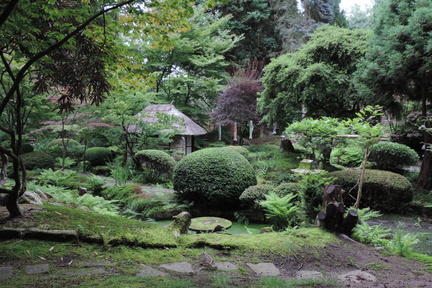 Japanese garden