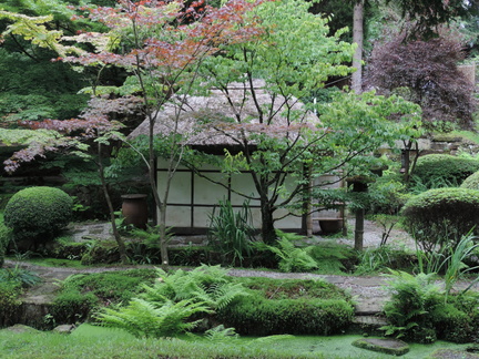Hut