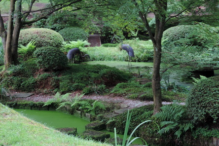 Cranes