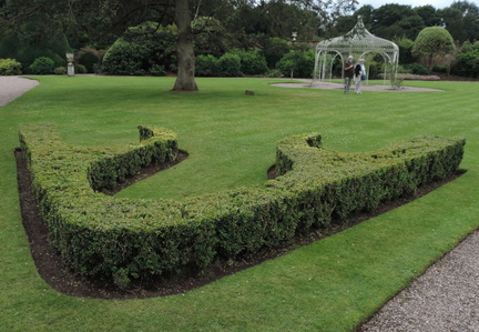Hedge