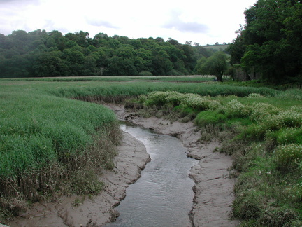From bridge
