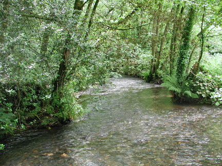 Stream