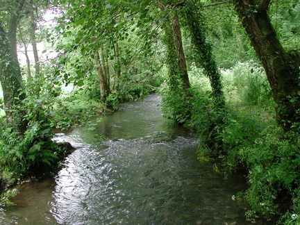 Stream