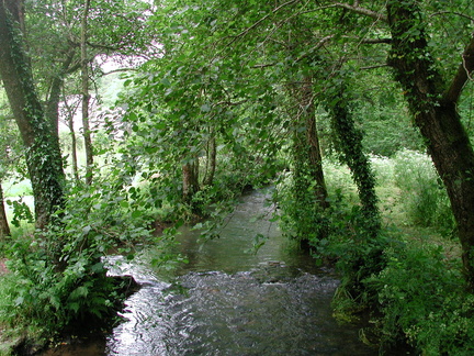 Stream