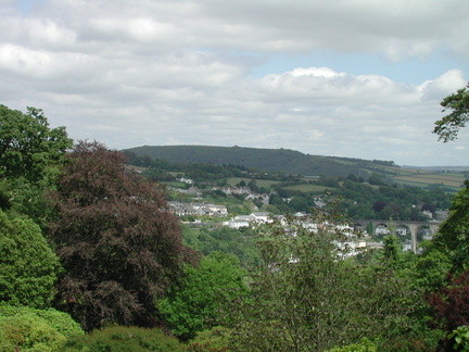 Trees, houses and viaduct