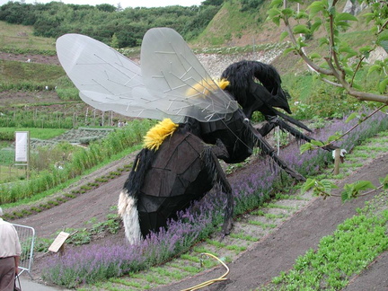 Bee