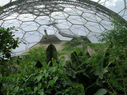 Inside dome