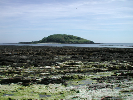 Rock Pools