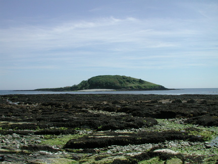 Rocks