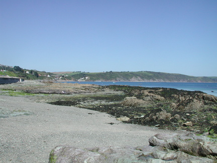 Shingle