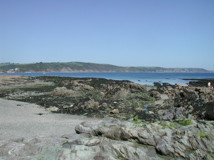 Shingle and rocks