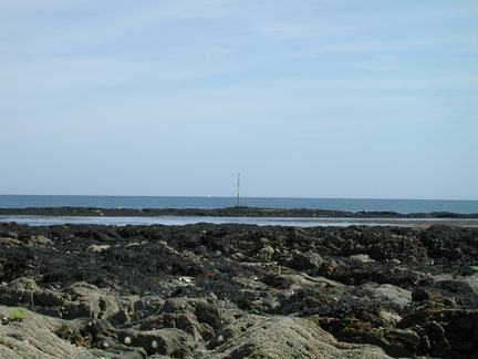 Mast