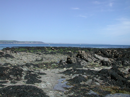 Estuary