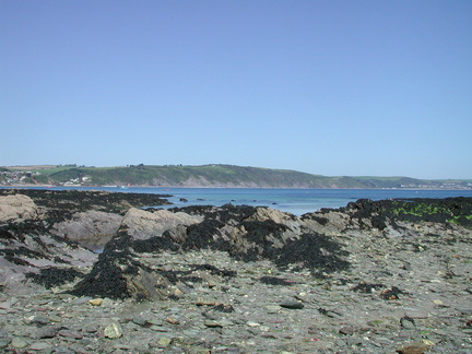 Estuary