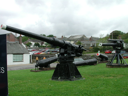 Gun