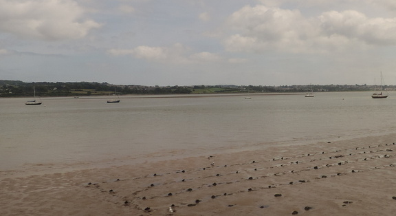 Mud flats