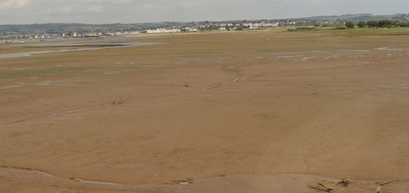 Mud flats
