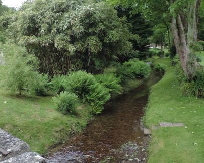 Stream