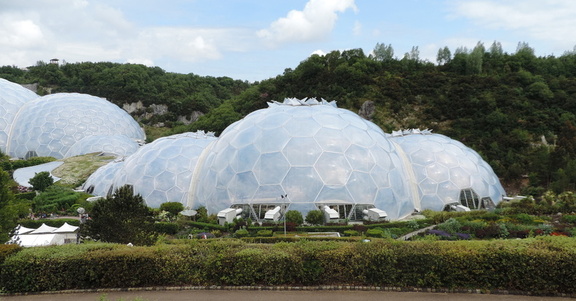 Biomes