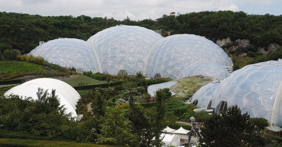 Biomes