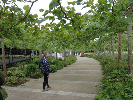 Avenue