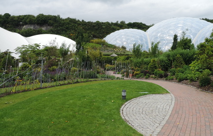 Between the biomes