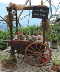 Roman garden
