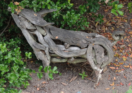 Wooden animal sculpture