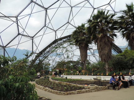 Mediterranean Biome