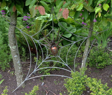 Spider