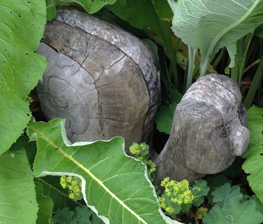 Wooden snail