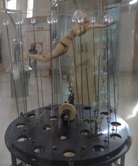 Swimming man