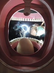 Dentist