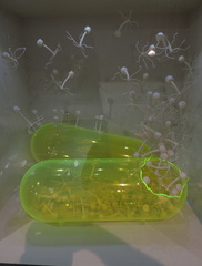 Phages
