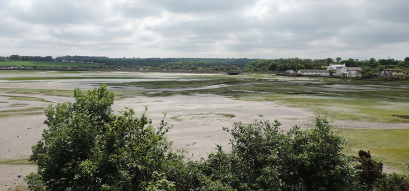 Lelant Saltings