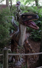Dinosaurs