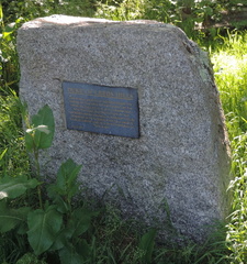 Plaque